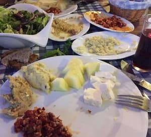 iskele balik pisiricisi zumrutova antalya